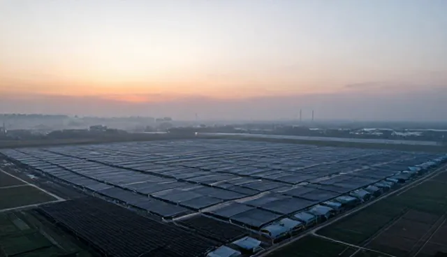 业务效率提升中技术限制的现实问题